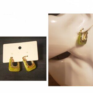 NWT Green  Resin Earrings